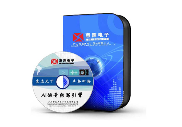  Ai语音转写引擎 VS-3000W